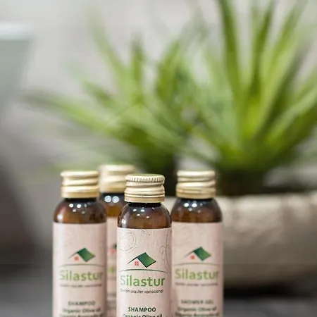 El Septimo By Silastur Apartment Gijón