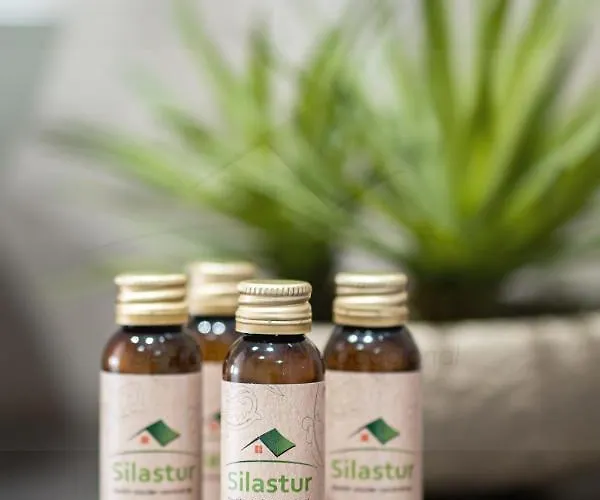 El Septimo By Silastur Apartman Gijón